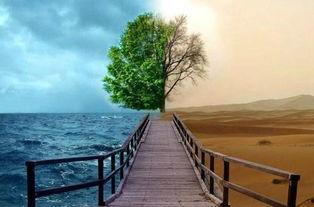 欧美迷茫的图片唯美,欧美迷离光影下的唯美画卷